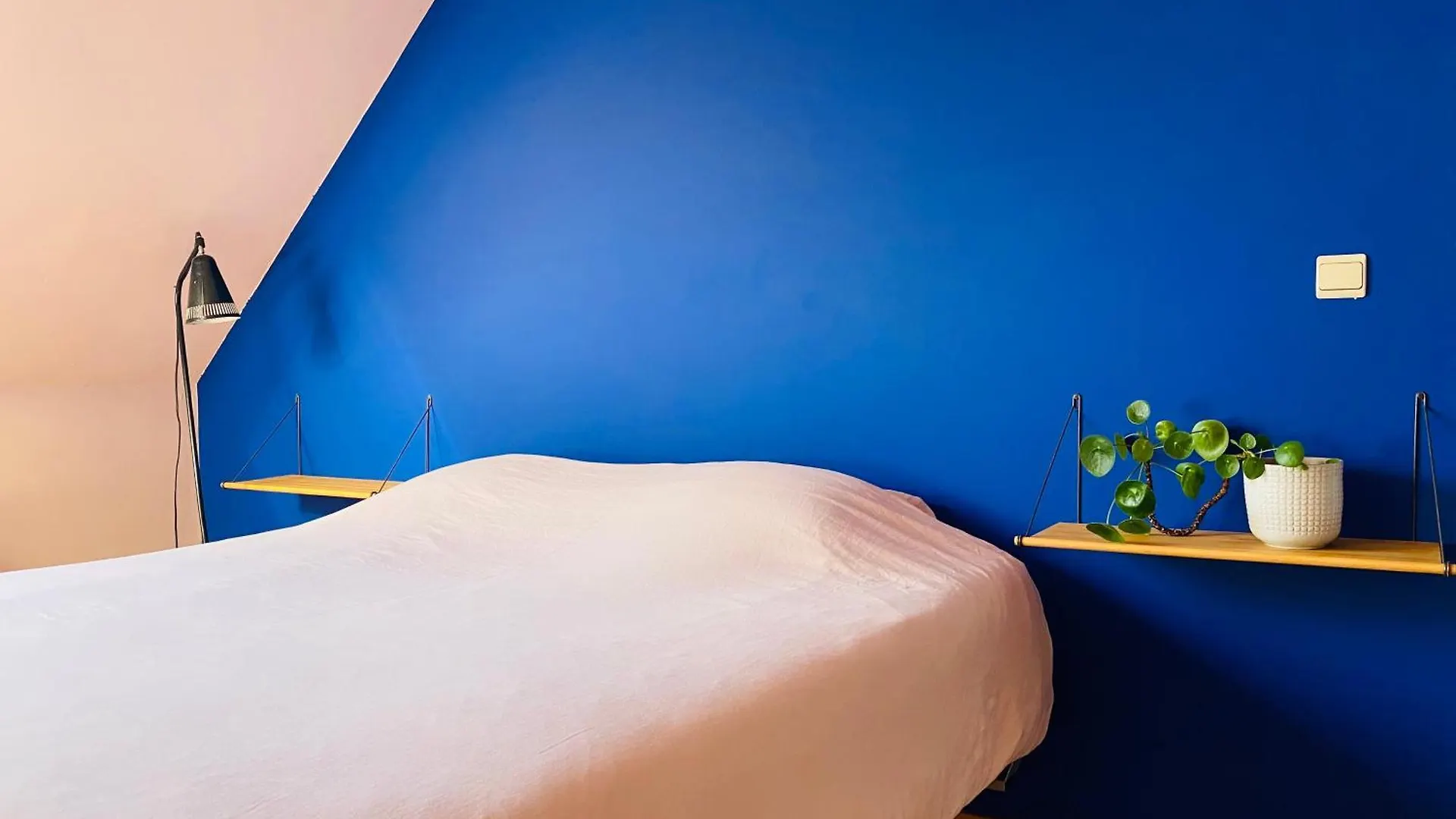 Vendégház Roze Kamer In Herenhuis 2X 1Persoonsbed Antwerpen
