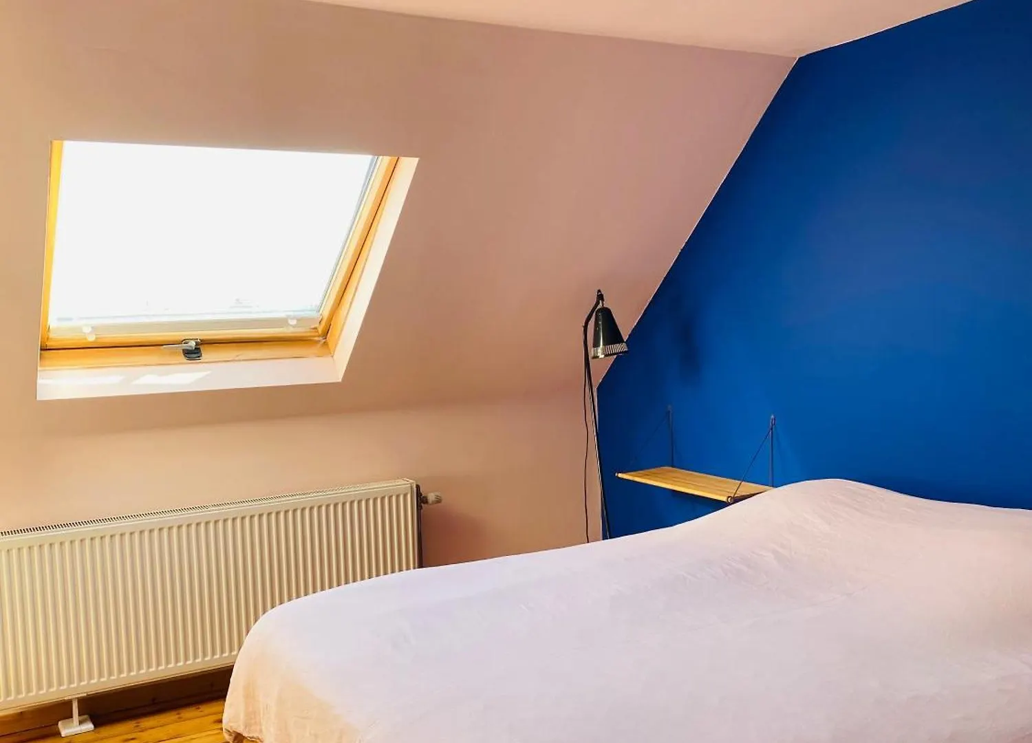 Roze Kamer In Herenhuis 2X 1Persoonsbed Antwerpen