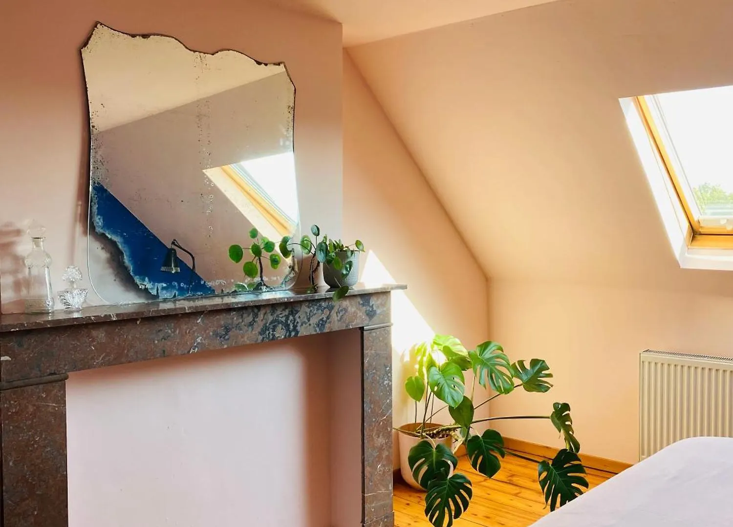 Guest house Roze Kamer In Herenhuis 2X 1Persoonsbed Antwerp